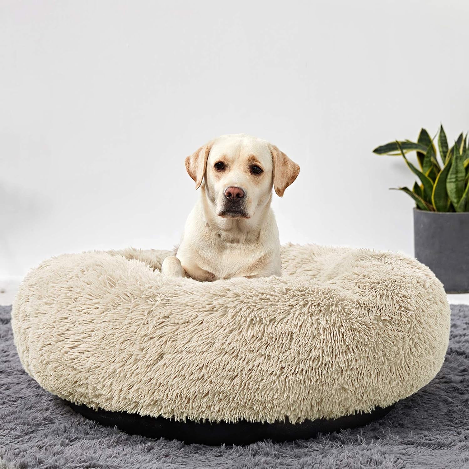 Ultimate Comfort for Your Pup: Washable Large Donut Dog Bed - Cozy Round Cuddler for Medium Dogs